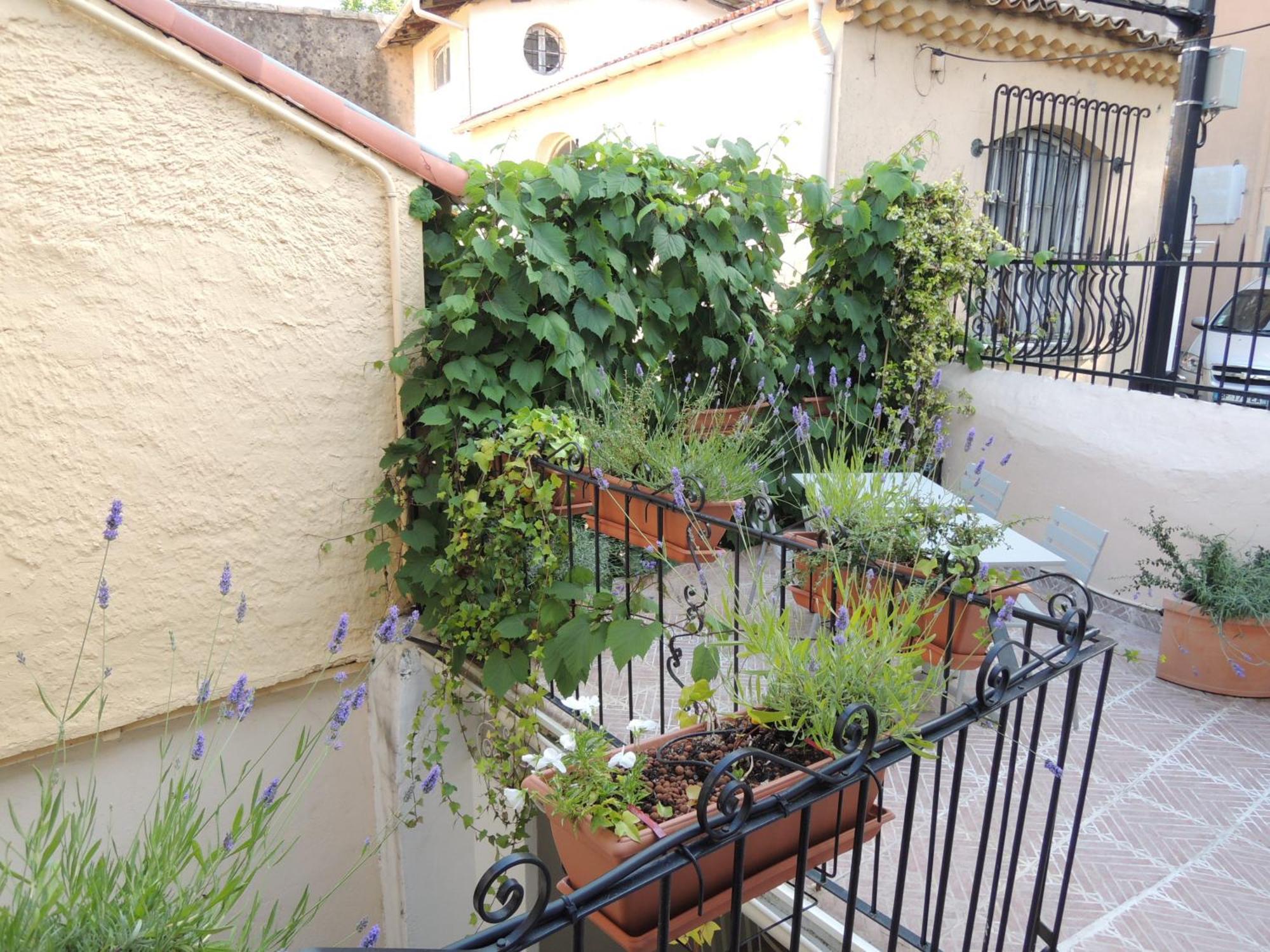Acci Cannes Old City ห้อง รูปภาพ